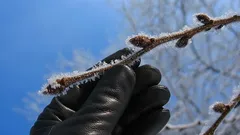 Lokakuun pakkaset. Sääennuste: tuleeko talvi todella lauantaina 4. lokakuuta, ja missä on kylmin?